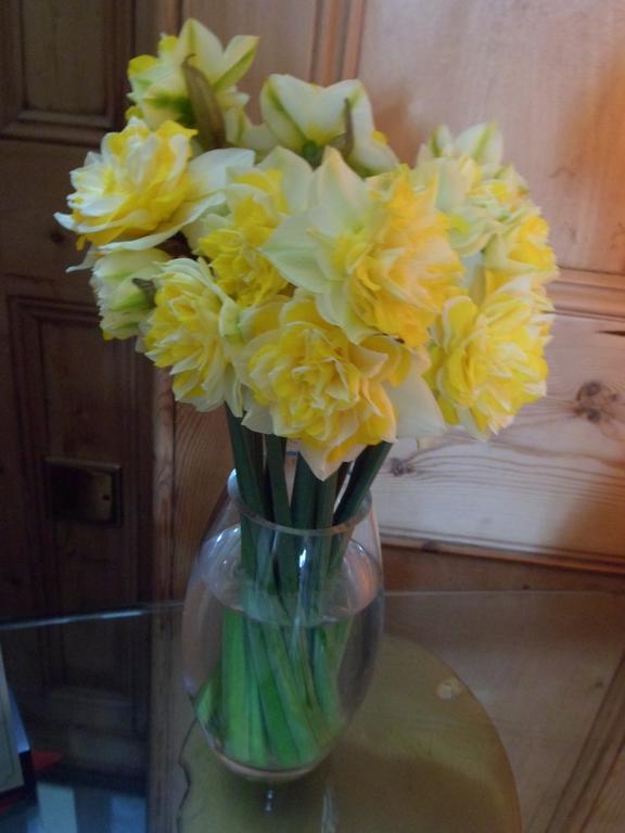 Wild Air Guest House Mevagissey Luaran gambar