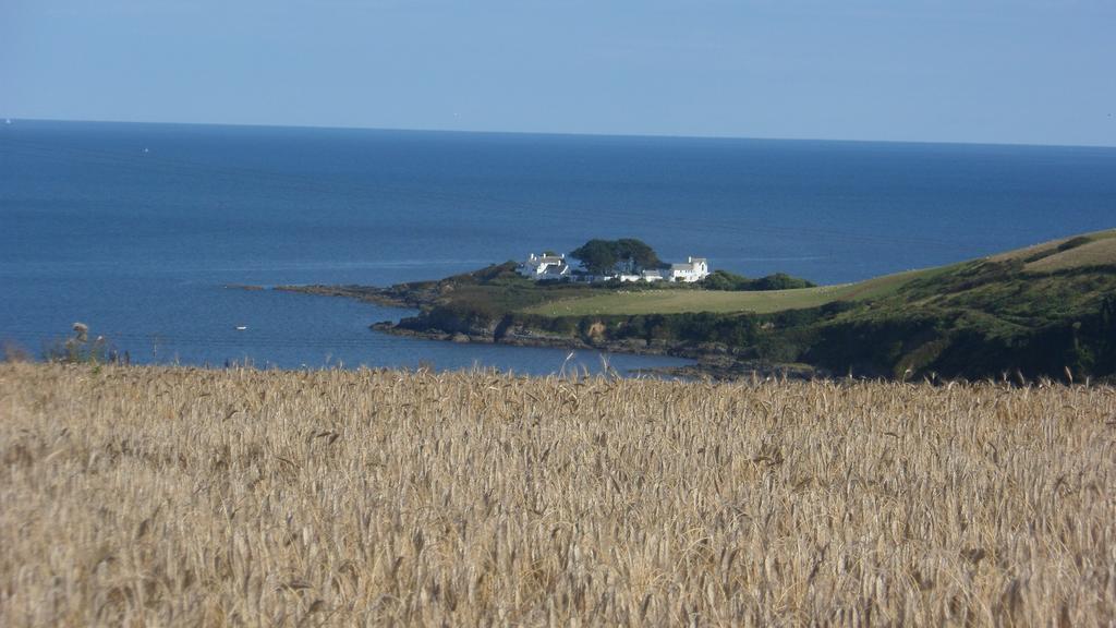 Wild Air Guest House Mevagissey Luaran gambar